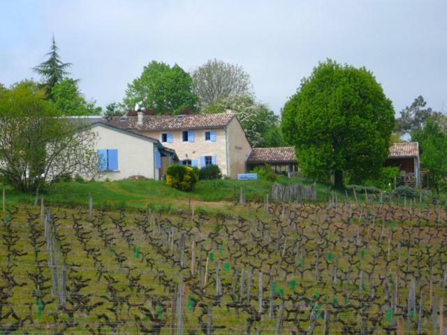 Chateau Regaldo-Saint Blancard Salleboeuf 외부 사진